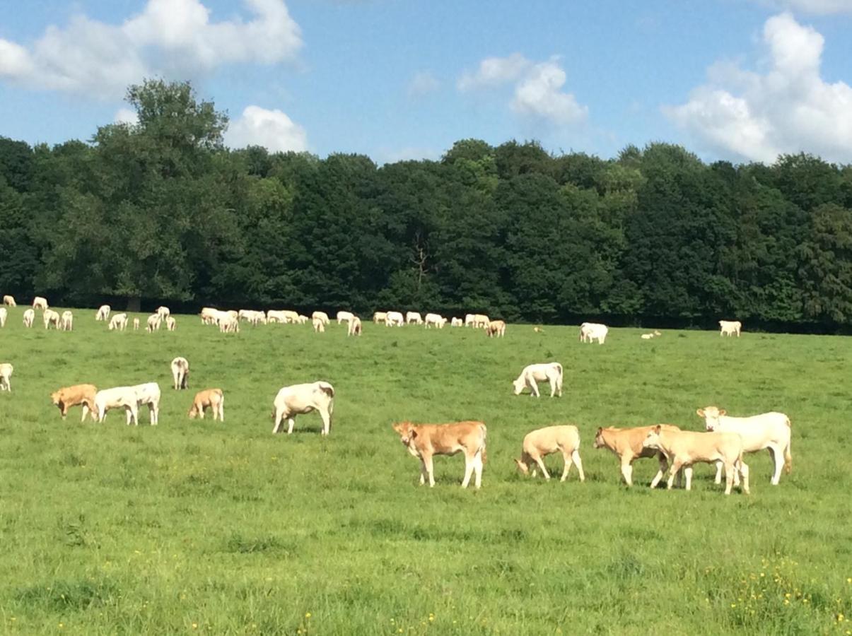 Aux Bois Dorés de la Ferme de sorval, animaux de la ferme, fitness Selvigny Extérieur photo