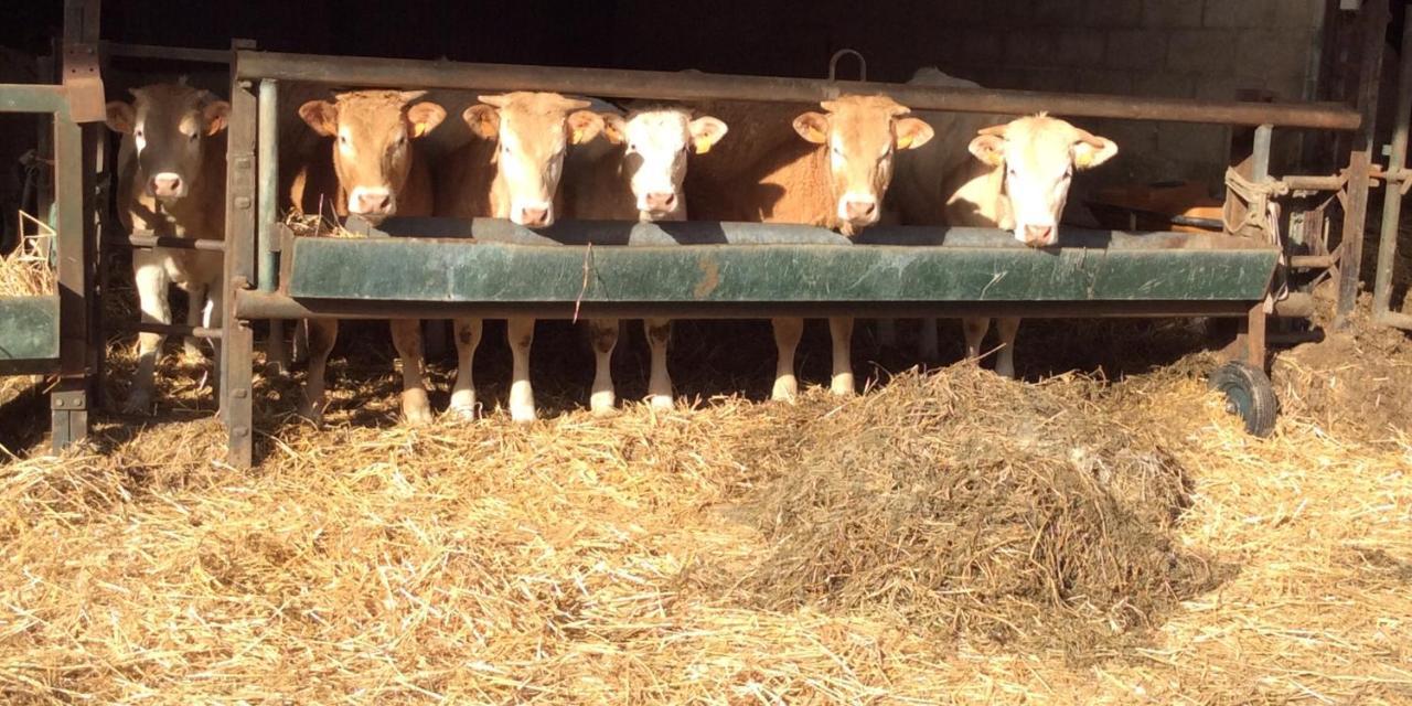 Aux Bois Dorés de la Ferme de sorval, animaux de la ferme, fitness Selvigny Extérieur photo